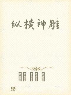 纵横神雕