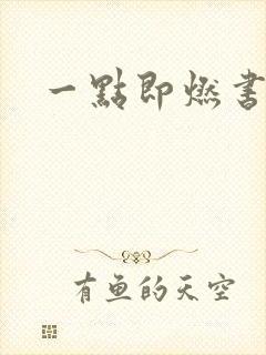 一点即燃书包网