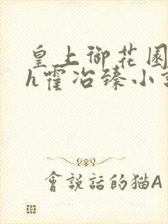 皇上御花园hlh霍冶臻小说