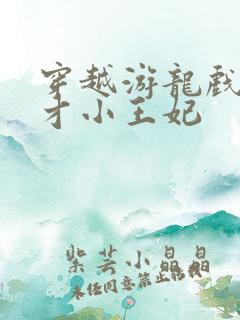 穿越游龙戏凤天才小王妃