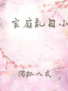 家庭乱日小说