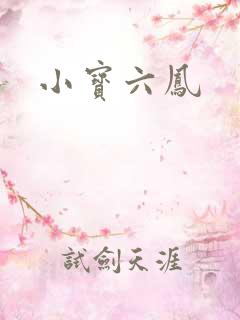小宝六凤