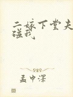 二嫁下堂夫君别碰我