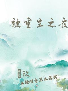 被重生之夜王