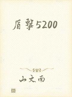 盾击5200