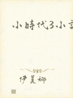 小时代3小说