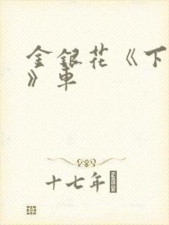 金银花《下厨房》车