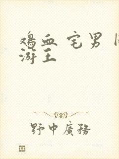 鸡血 宅男 网游王