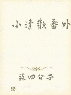 小清欢番外