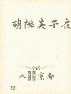 胡桃夹子夜未眠