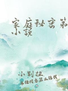 家庭秘密第3集小说