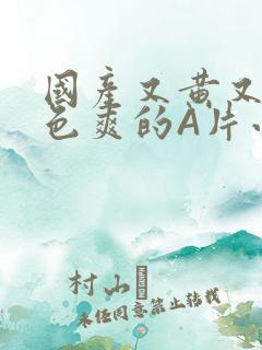 国产又黄又大又色爽的A片小说