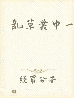 乱草丛中一杆枪