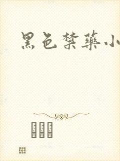 黑色禁药小说