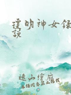 琼明神女录 小说
