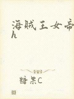 海贼王女帝娜美h