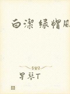 白洁 绿帽风云