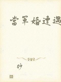 当军婚遭遇爱情