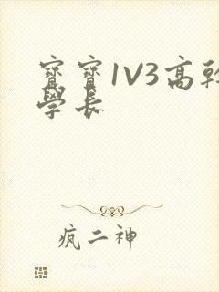 宝宝1V3高干学长