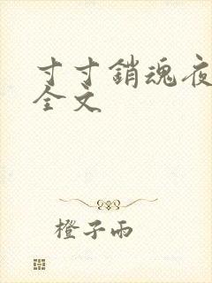 寸寸销魂夜春光全文