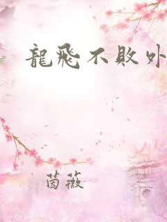 龙飞不败外传