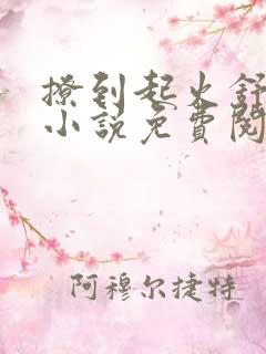 撩到起火舒漾的小说免费阅读全文