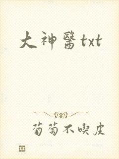 大神医txt