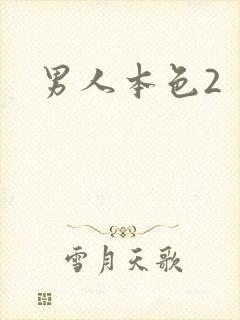 男人本色2
