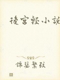 后宫轻小说
