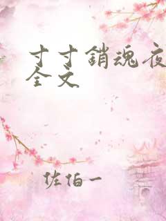 寸寸销魂夜春光全文