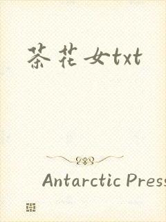 茶花女txt