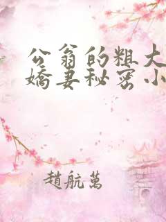 公翁的粗大放进娇妻秘密小说