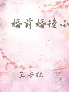 婚前婚后小说
