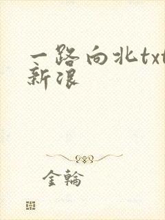 一路向北txt新浪