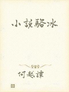 小说骆冰