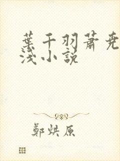 叶千羽萧尧白清浅小说