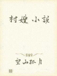 村嫂 小说