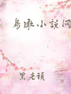 鸟瞰小说网