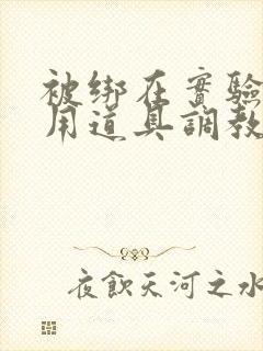 被绑在实验台上用道具调教