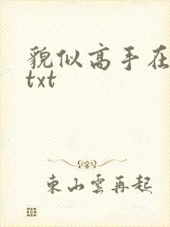 貌似高手在异界txt