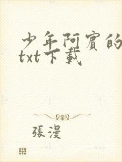 少年阿宾的故事txt下载