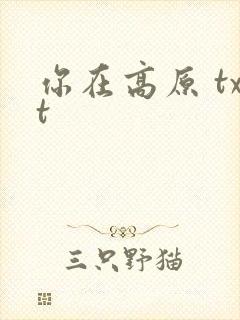 你在高原 txt