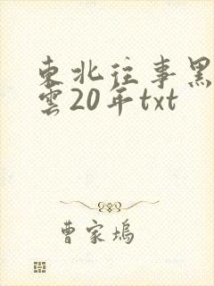 东北往事黑道风云20年txt