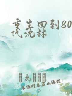 重生回到80年代沈林