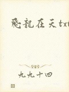 飞龙在天txt