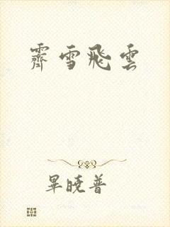 霁雪飞云