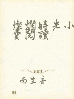 灿烂时光小说免费阅读