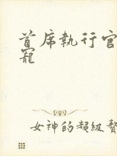 首席执行官的绝宠