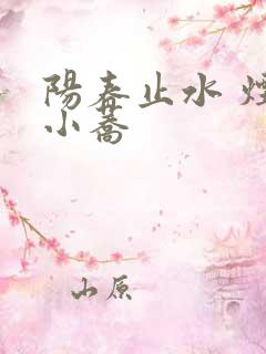 阳春止水 烟树小荞