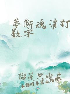 梦断魂消打三个数字